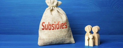 Subsidies en leningen: financiële voordelen voor uw leendoel